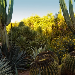 marokko rundreise 2023_15